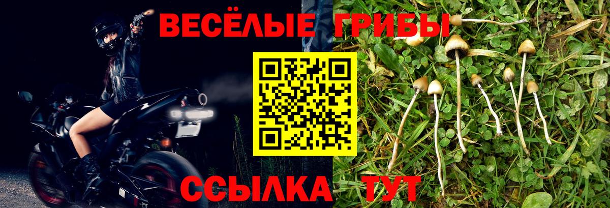 Галлюциногенные грибы MAGIC MUSHROOMS Валуйки